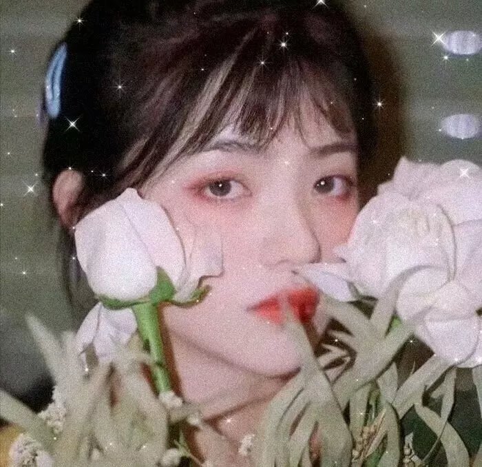 偷心女巫